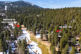 519 Wolf Tree, Truckee, CA 96161 - Photo 14