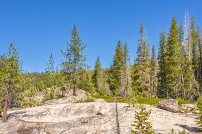 0000 Hampshire Rocks Road, Emigrant Gap, CA 95715 - Photo 12