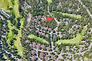 27 One Horse Way, Clio, CA 96103 - Photo 22