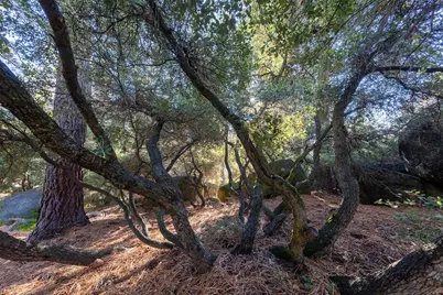 . Harbor Avenue, Kings Beach, CA 96143 - Photo 16