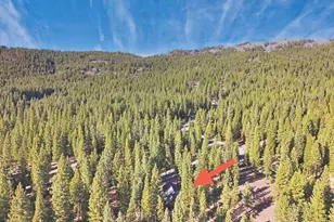 462 Arrowleaf Rd, Portola, CA 96122 - Photo 22