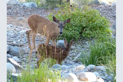 462 Arrowleaf Road, Portola, CA 96122 - Photo 28