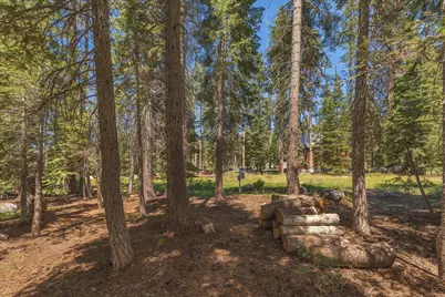 51711 Tamarack Crescent, Soda Springs, CA 95728 - Photo 10