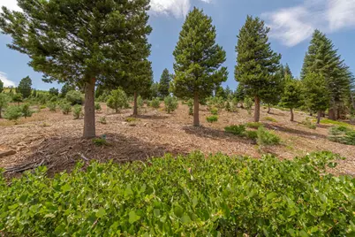 15644 Skislope Way, Truckee, CA 96161 - Photo 22