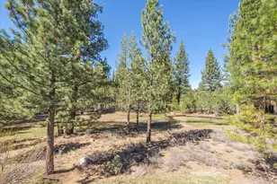 10100 Pioneer Trail, Truckee, CA 96161 - Photo 20