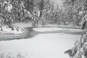 10100 Pioneer Trail, Truckee, CA 96161 - Photo 24