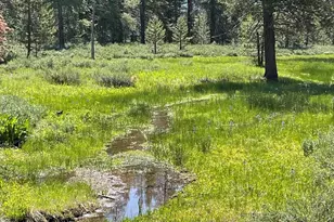 10100 Pioneer Trail, Truckee, CA 96161 - Photo 22