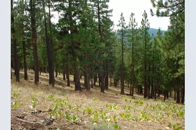 307 Big Cedar Lane, Portola, CA 96122 - Photo 6