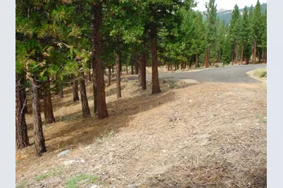 307 Big Cedar Lane, Portola, CA 96122 - Photo 4