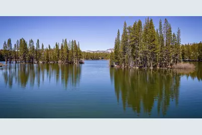 6194 Serene Road, Soda Springs, CA 95724 - Photo 14