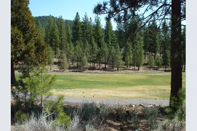 404 Blacktail Ridge, Portola, CA 96122 - Photo 2