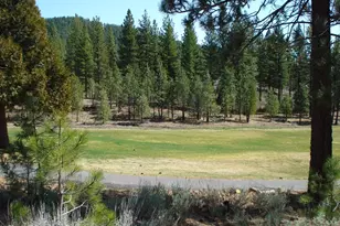 404 Blacktail Ridge, Portola, CA 96122 - Photo 2