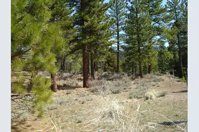 404 Blacktail Ridge, Portola, CA 96122 - Photo 4