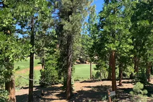 2066 Grizzly Ranch Rd, Portola, CA 96122 - Photo 1