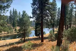 300 Blacktail Ridge, Portola, CA 96122 - Photo 1