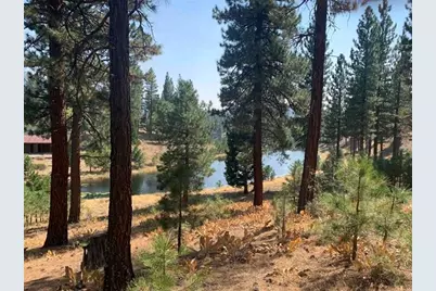 300 Blacktail Ridge, Portola, CA 96122 - Photo 4