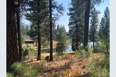 300 Blacktail Ridge, Portola, CA 96122 - Photo 2