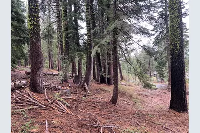 4038 Courchevel Road, Tahoe City, CA 96145 - Photo 8