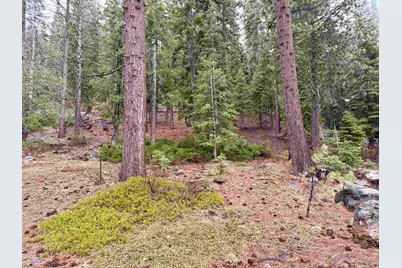 970 Ward Creek Blvd, Tahoe City, CA 96145 - Photo 2