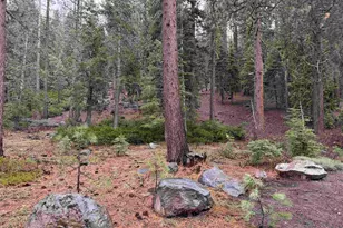 970 Ward Creek Blvd, Tahoe City, CA 96145 - Photo 1