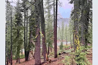 970 Ward Creek Blvd, Tahoe City, CA 96145 - Photo 4