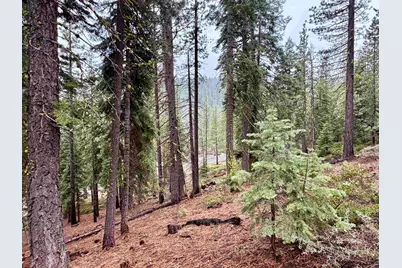 970 Ward Creek Blvd, Tahoe City, CA 96145 - Photo 10