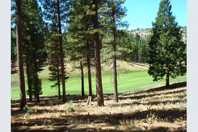 139 Bird Of Prey Lane, Portola, CA 96122 - Photo 1