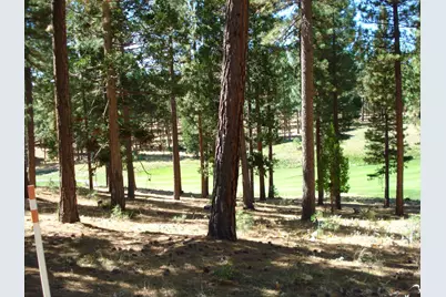 139 Bird Of Prey Lane, Portola, CA 96122 - Photo 2