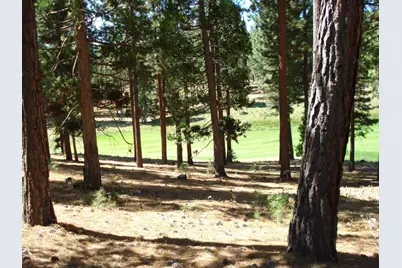 139 Bird Of Prey Lane, Portola, CA 96122 - Photo 4