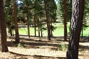 139 Bird of Prey Ln, Portola, CA 96122 - Photo 4