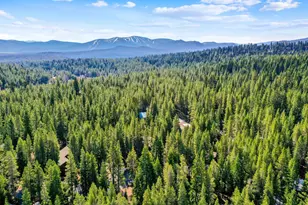 11749 Baden Rd, Truckee, CA 96161 - Photo 28