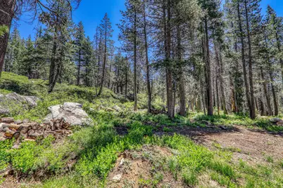 10019 Bunny Hill Road, Soda Springs, CA 95728 - Photo 12