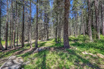 10019 Bunny Hill Road, Soda Springs, CA 95728 - Photo 8