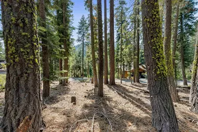 880 Sunny Drive, Homewood, CA 96141 - Photo 16