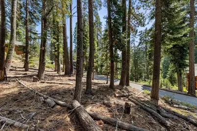 880 Sunny Drive, Homewood, CA 96141 - Photo 22