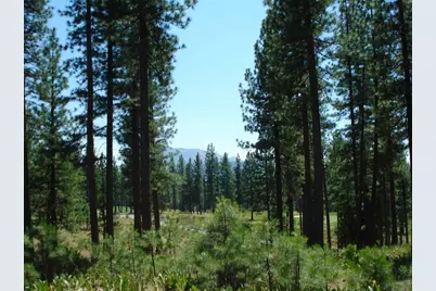 69 Blacktail Ridge, Portola, CA 96122 - Photo 2