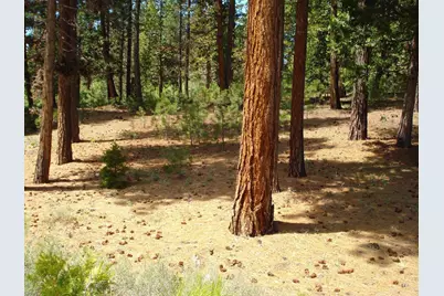 745 Blacktail Ridge, Portola, CA 96122 - Photo 2