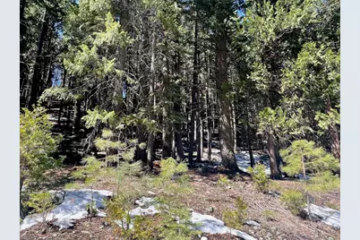 84 Yonkalla Trail, Graeagle, CA 96103 - Photo 16