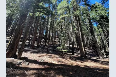 84 Yonkalla Trail, Graeagle, CA 96103 - Photo 10