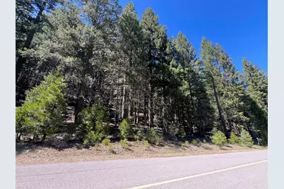 84 Yonkalla Trail, Graeagle, CA 96103 - Photo 6