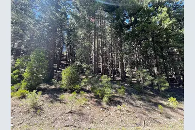 84 Yonkalla Trail, Graeagle, CA 96103 - Photo 4