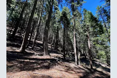 84 Yonkalla Trail, Graeagle, CA 96103 - Photo 12