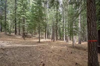 12442 Saint Bernard Drive, Truckee, CA 96161 - Photo 26