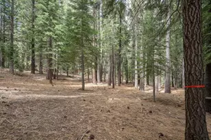 12442 St Bernard Dr, Truckee, CA 96161 - Photo 26