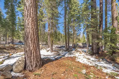 51337 Jeffery Pine Drive, Soda Springs, CA 95728 - Photo 10