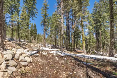 51337 Jeffery Pine Drive, Soda Springs, CA 95728 - Photo 8