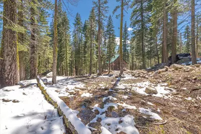 51337 Jeffery Pine Drive, Soda Springs, CA 95728 - Photo 14