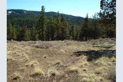 463 Quail Run, Portola, CA 96122 - Photo 6