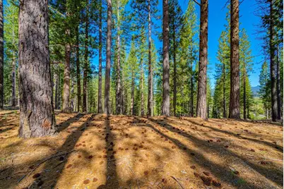 266 Boulder Drive, Clio, CA 96106 - Photo 4