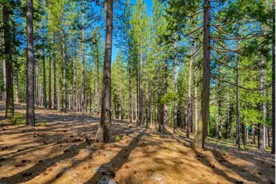 266 Boulder Drive, Clio, CA 96106 - Photo 6